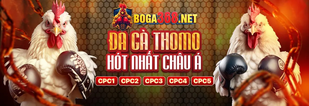 Đá gà trực tuyến vn666 nhà cái